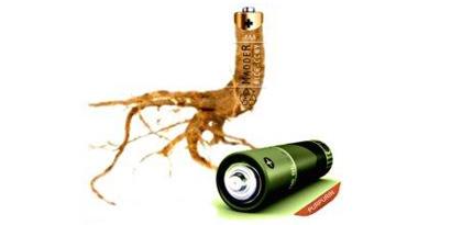 Imagem de Raiz de planta é usada para criar bateria ecológica no site TecMundo