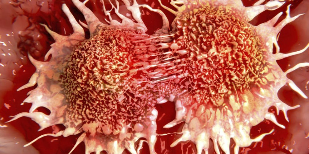 Imagem de Pesquisadores criam nanorobôs que caçam e destroem células cancerígenas no site TecMundo