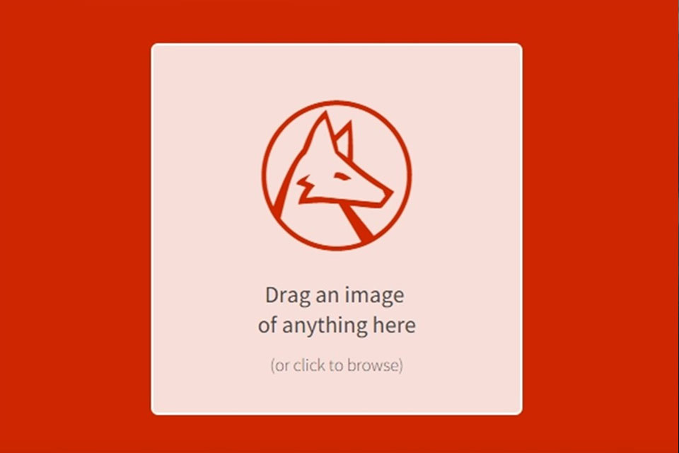 Imagem de Site consegue identificar praticamente qualquer imagem que você quiser no tecmundo