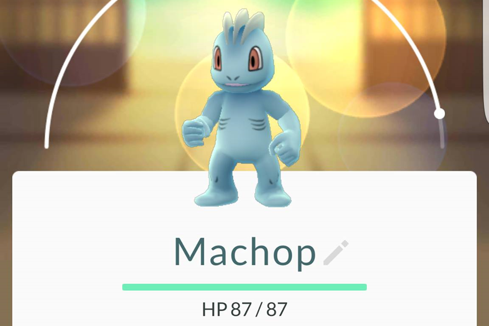 Imagem de Pokémon GO: o que as medidas XL e XS influenciam no jogo? no tecmundo