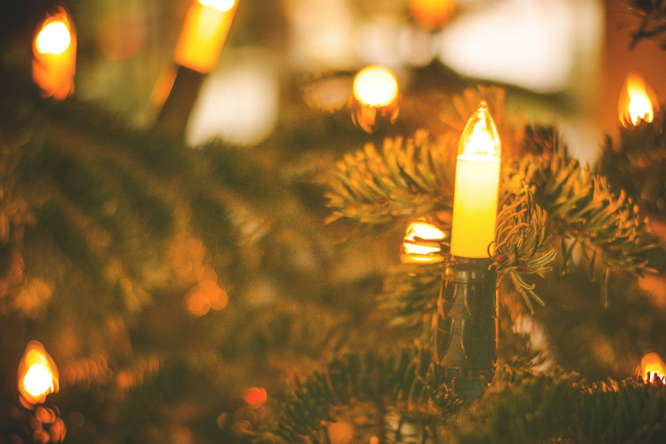 Imagem de Todo ano a mesma coisa: o que fazer com lâmpadas de Natal queimadas?? no tecmundo