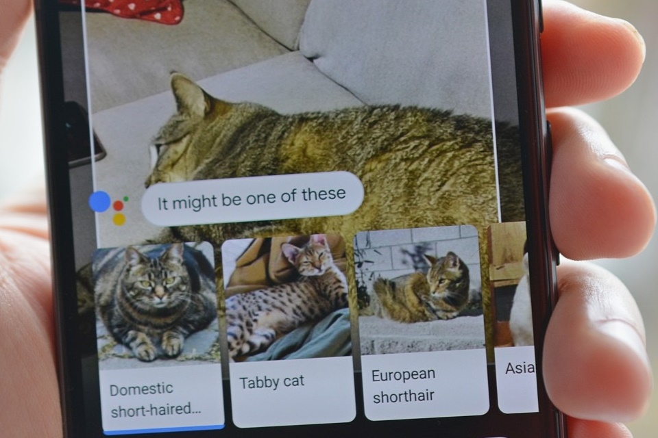 Imagem de Torne-se um expert no Google Lens: 10 funções essenciais da ferramenta no tecmundo