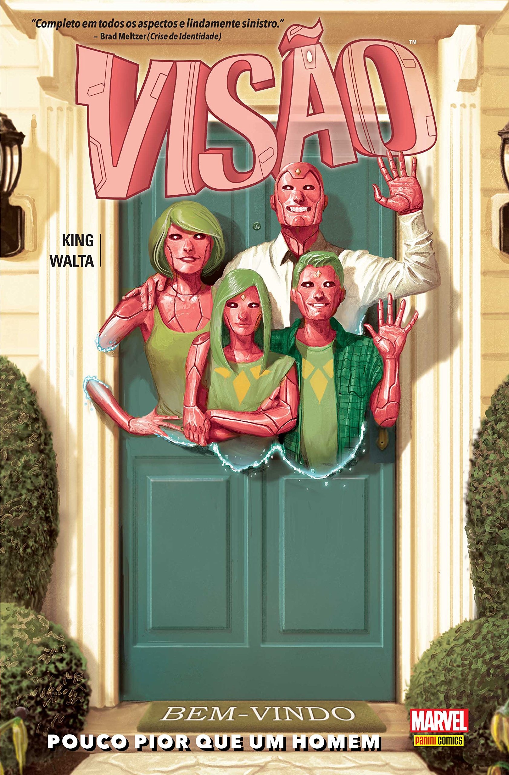 visão