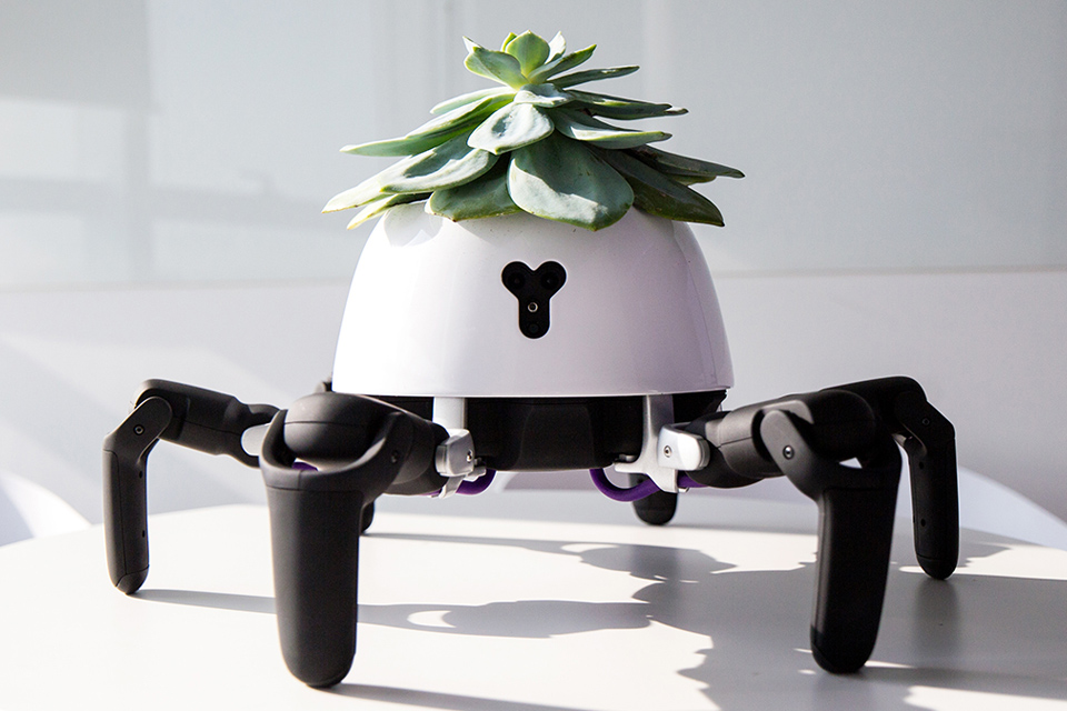 Imagem de Inventor cria robô que leva plantas para tomarem sol no tecmundo