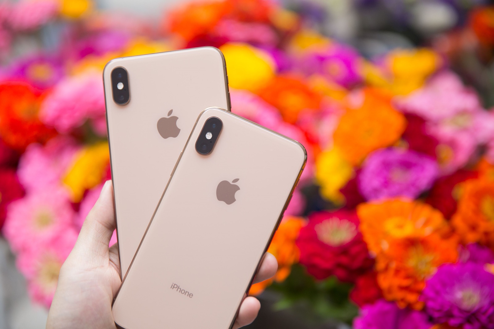 Imagem de O que a imprensa internacional está achando dos novos iPhones Xs e Xs Max no tecmundo