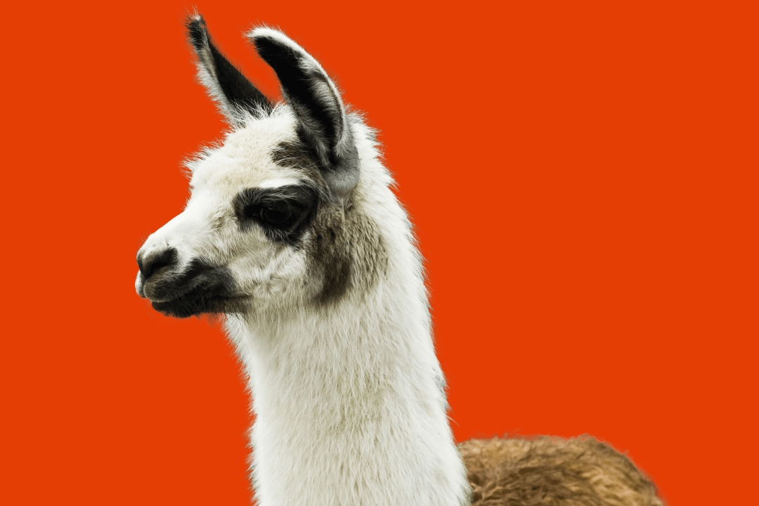 Imagem de Winamp ganha atualização e agora é compatível com Windows 10 no tecmundo