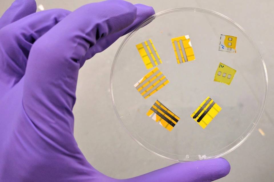 Imagem de Cientistas criam tatuagem iluminada de OLED removível com água e sabão no tecmundo