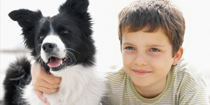 Imagem de Site registra seu animal de estimação em cartório e até oficializa sobrenome no site TecMundo